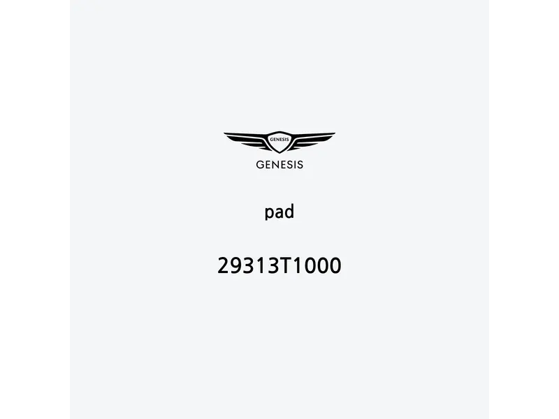 pad-29313t1000-fr