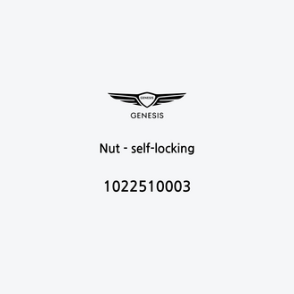 nut-self-locking-1022510003-it