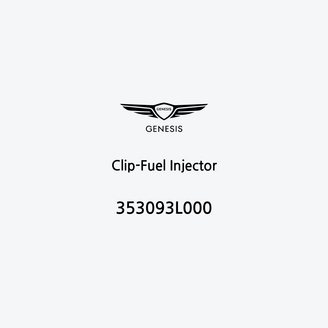 clip-fuel-injector-353093l000-es