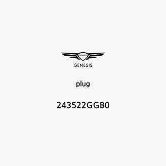 plug-243522ggb0-ar