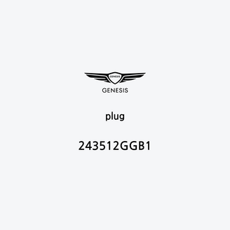plug-243512ggb1-ar