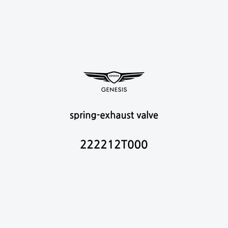 spring-exhaust-valve-222212t000-ar