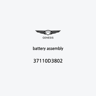 battery-assembly-37110d3802-it