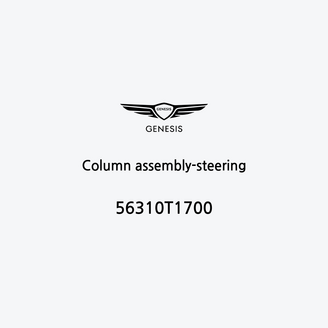 column-assembly-steering-56310t1700-it