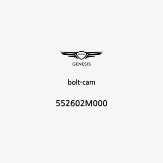 bolt-cam-552602m000-it