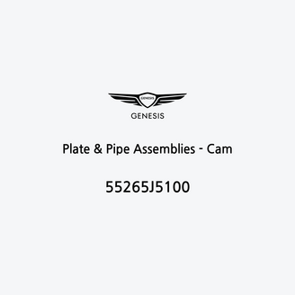 plate-and-pipe-assemblies-cam-55265j5100-it