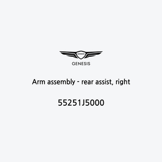 arm-assembly-rear-assist-right-55251j5000-it