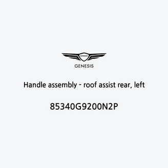 handle-assembly-roof-assist-rear-left-85340g9200n2p-fr