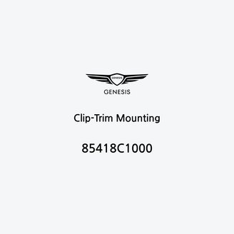 clip-trim-mounting-85418c1000-fr