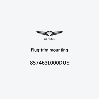 plug-trim-mounting-857463l000due-pt