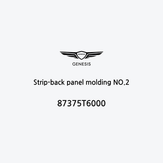 strip-back-panel-molding-no-2-87375t6000-de