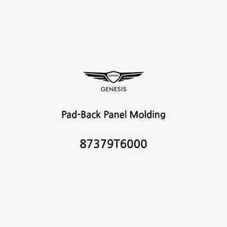 pad-back-panel-molding-87379t6000-de