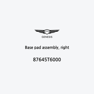 base-pad-assembly-right-87645t6000-fr