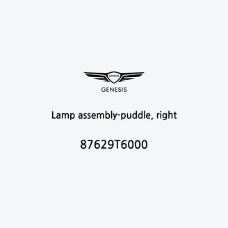 lamp-assembly-puddle-right-87629t6000-fr
