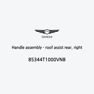 handle-assembly-roof-assist-rear-right-85344t1000vnb-fr