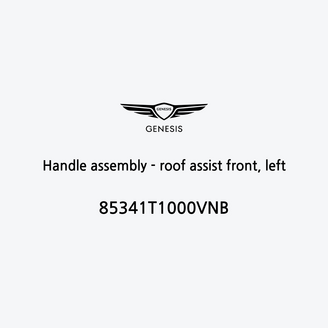 handle-assembly-roof-assist-front-left-85341t1000vnb-fr