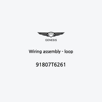 wiring-assembly-loop-91807t6261-fr