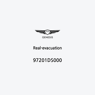 real-evacuation-it