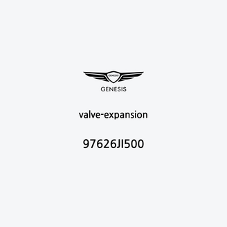valve-expansion-it