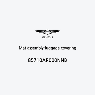 mat-assembly-luggage-covering-it
