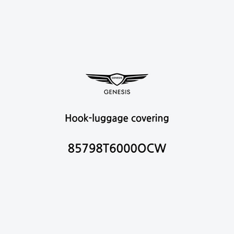 hook-luggage-covering-it