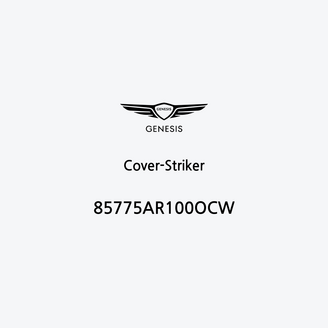 cover-striker-it