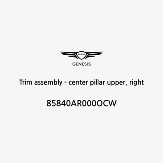trim-assembly-center-pillar-upper-right-it