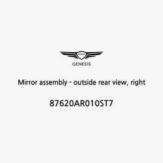 mirror-assembly-outside-rear-view-right-es