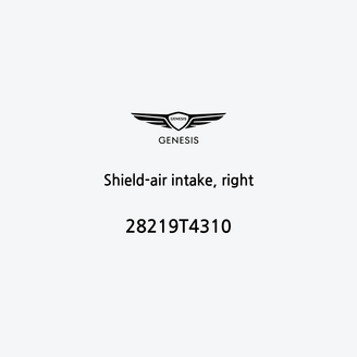 shield-air-intake-right-pt