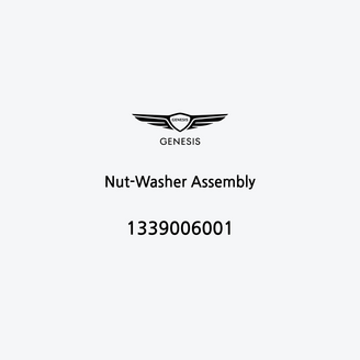 nut-washer-assembly-ar