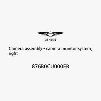 camera-assembly-camera-monitor-system-right-es