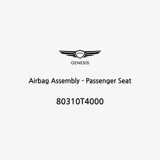 airbag-assembly-passenger-seat-de-2