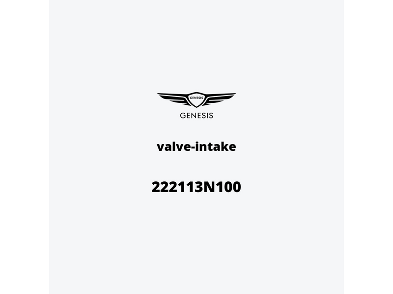 valve-intake-222113n100-it