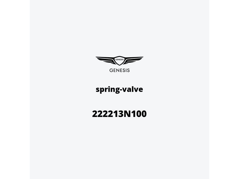 spring-valve-222213n100