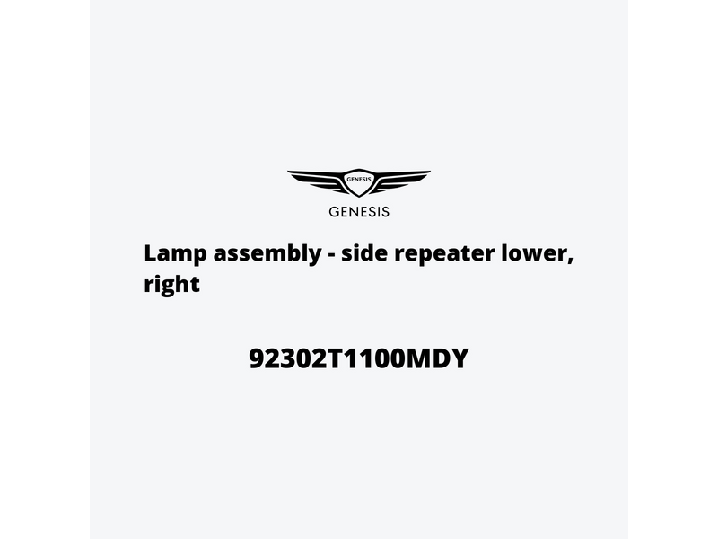 lamp-assembly-side-repeater-lower-right-92302t1100mdy-it