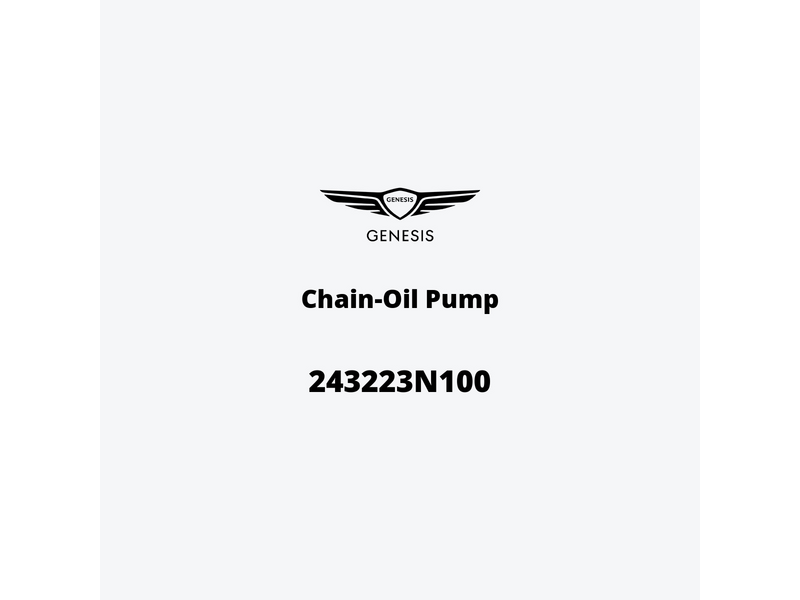 chain-oil-pump-243223n100-it