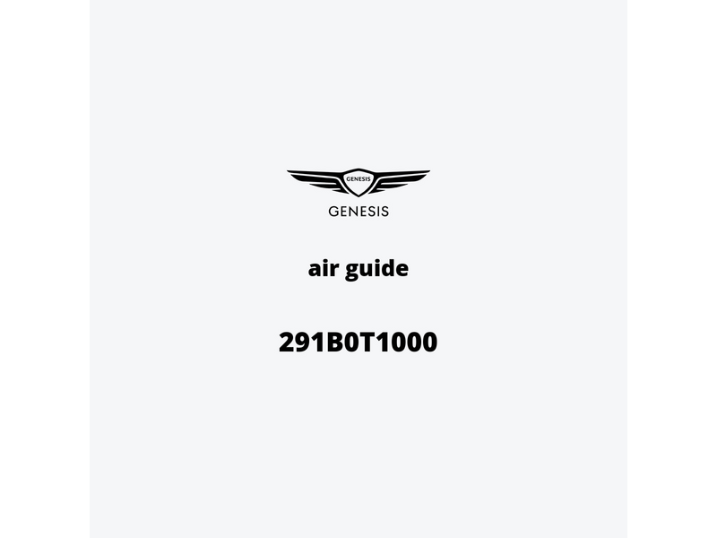 air-guide-291b0t1000-ja