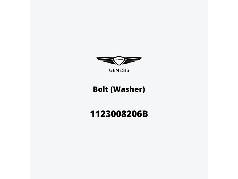 bolt-washer-1123008206b-de