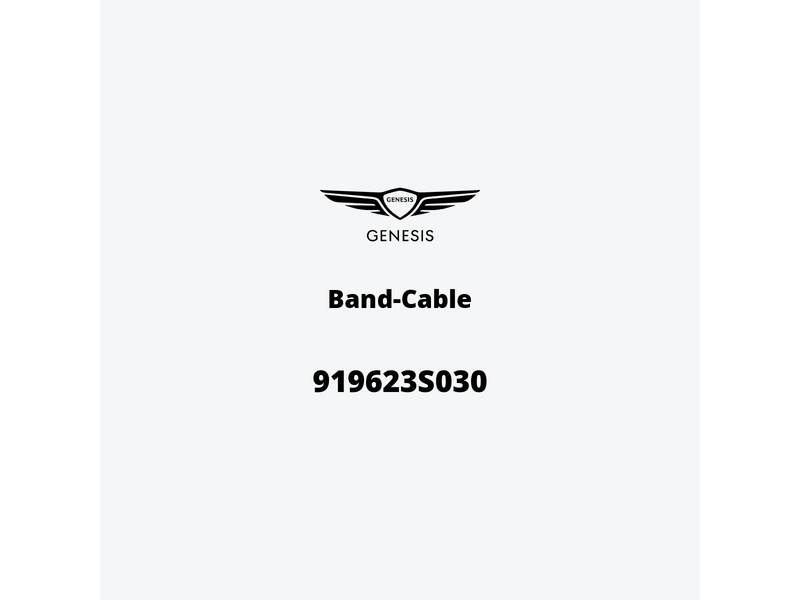 band-cable-919623s030-ja