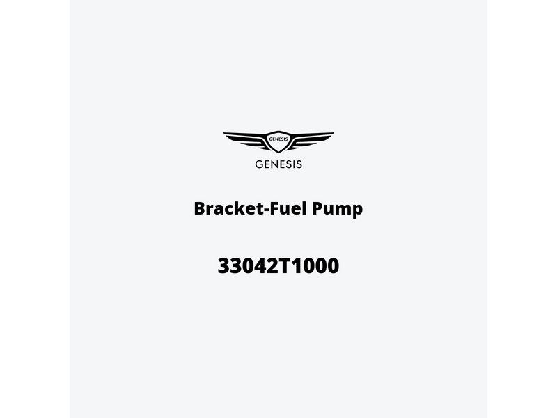 bracket-fuel-pump-33042t1000-de