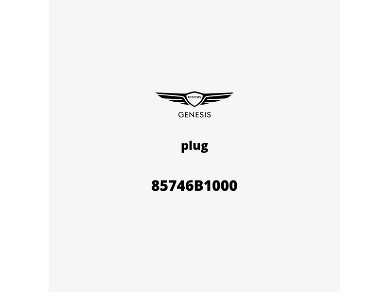 plug-85746b1000-it