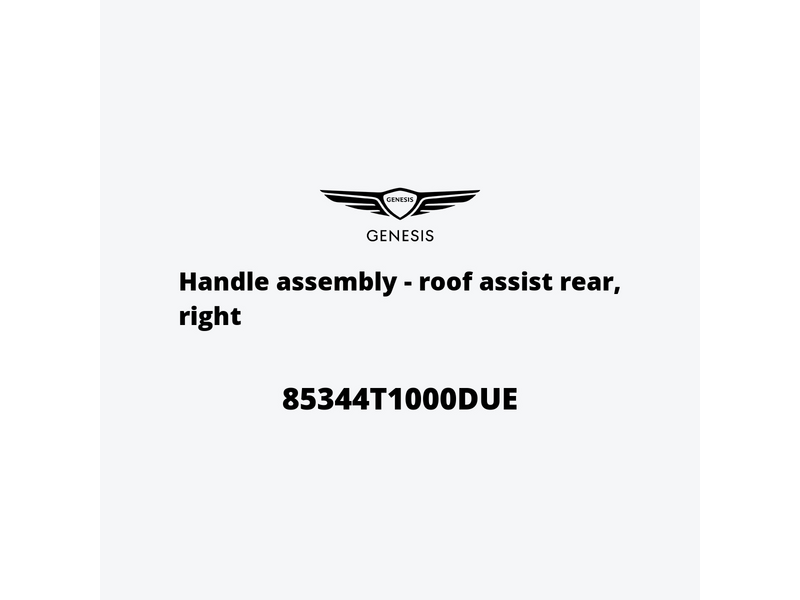 handle-assembly-roof-assist-rear-right-85344t1000due-de