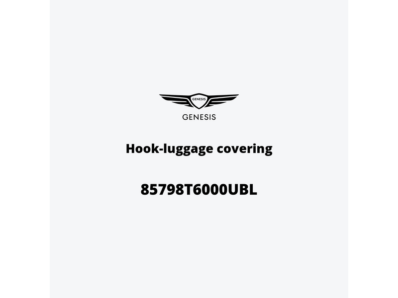 hook-luggage-covering-85798t6000ubl