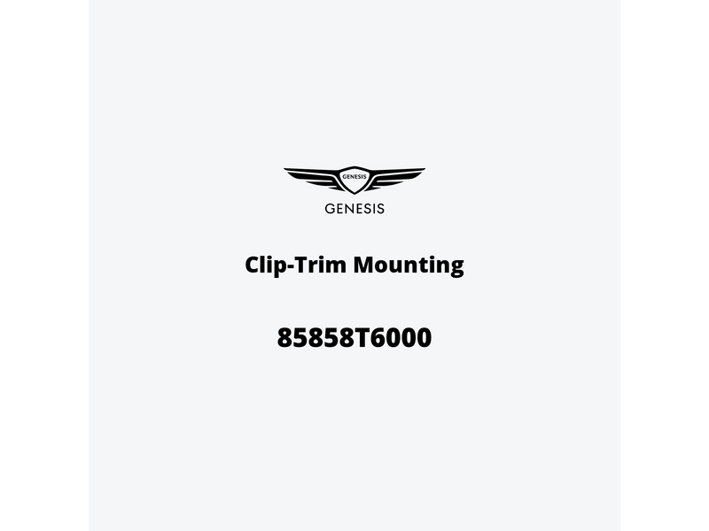 clip-trim-mounting-85858t6000-fr