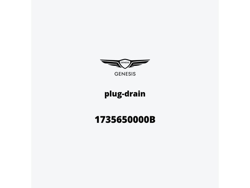 plug-drain-1735650000b-it