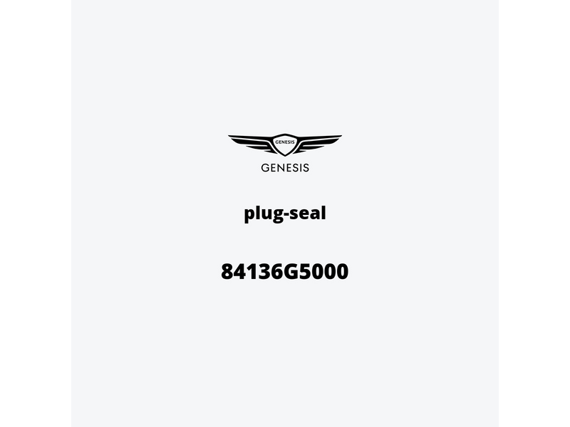 plug-seal-84136g5000-it