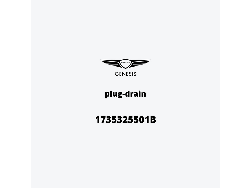 plug-drain-1735325501b-it