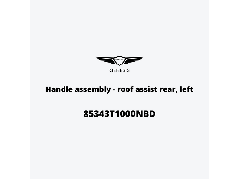 handle-assembly-roof-assist-rear-left-85343t1000nbd-pt