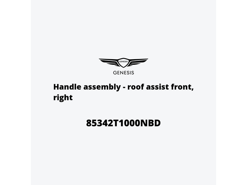 handle-assembly-roof-assist-front-right-85342t1000nbd-de