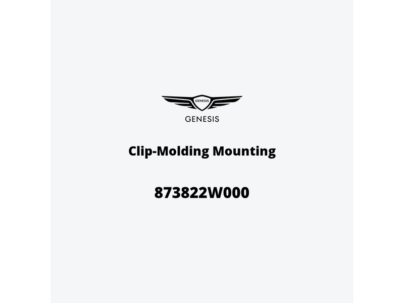 clip-molding-mounting-873822w000-pt